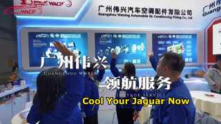 Máy nén AC ô tô cho thị trường toàn cầu